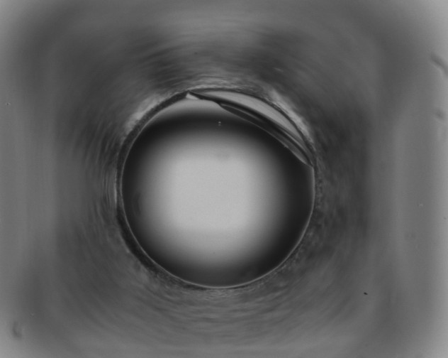 X0000091500011200708231454