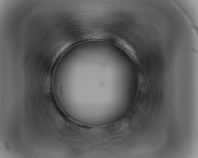 X0000091500012200708231454