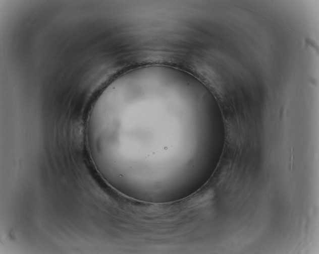 X0000091500016200708231454