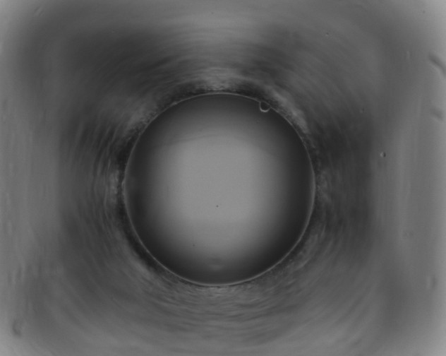 X0000091500018200708231454