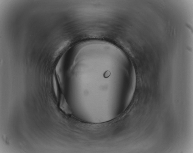 X0000091500019200708231454