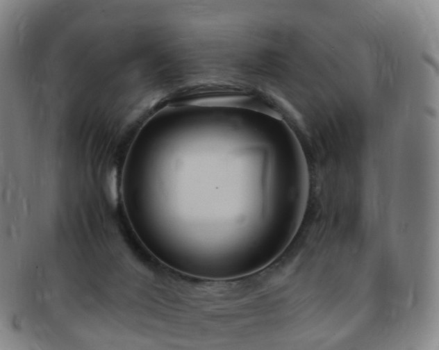 X0000091500020200708231454