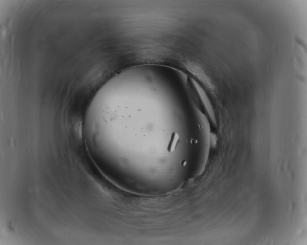 X0000091500021200708231454