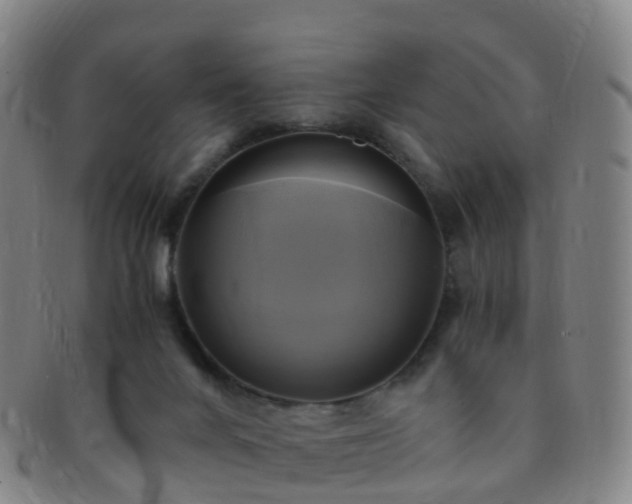 X0000091500024200708231454