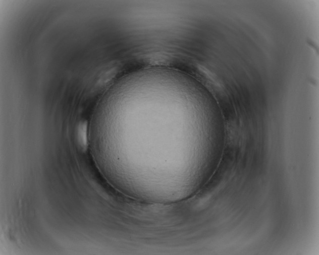 X0000091500028200708231454