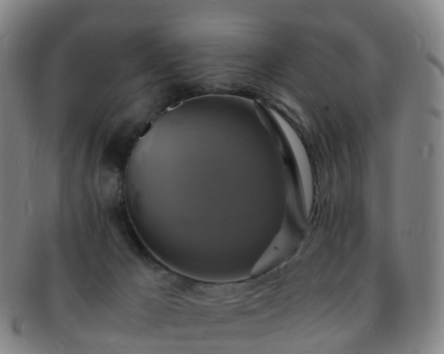 X0000091500029200708231454