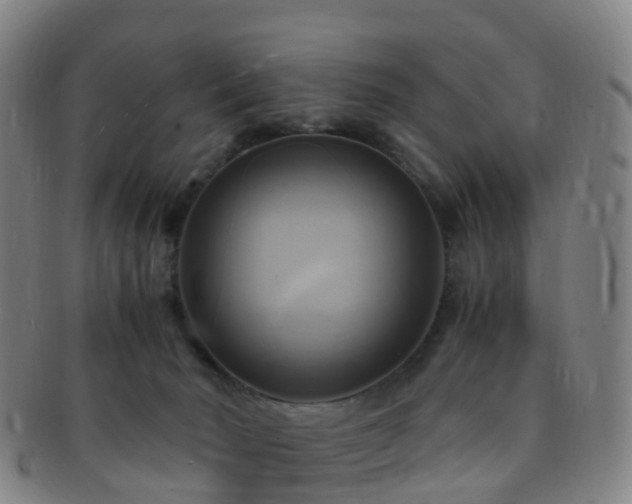 X0000091500030200708231454