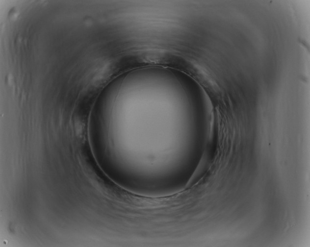 X0000091500031200708231454