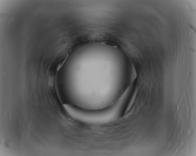 X0000091500033200708231454