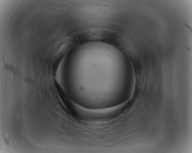 X0000091500035200708231454