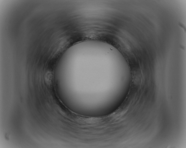 X0000091500036200708231454