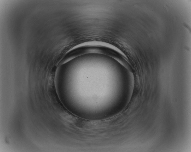 X0000091500037200708231454