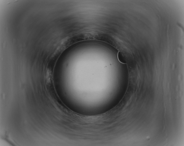 X0000091500038200708231454