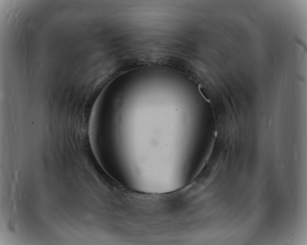 X0000091500040200708231453