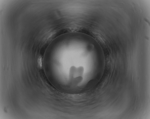 X0000091500042200708231453