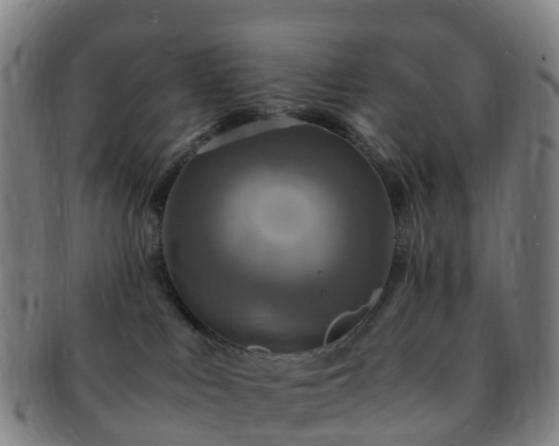 X0000091500043200708231453