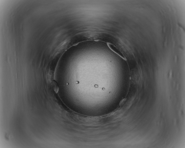 X0000091500044200708231453