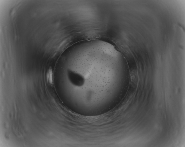 X0000091500046200708231453