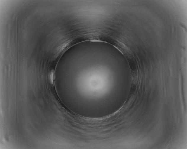 X0000091500047200708231453