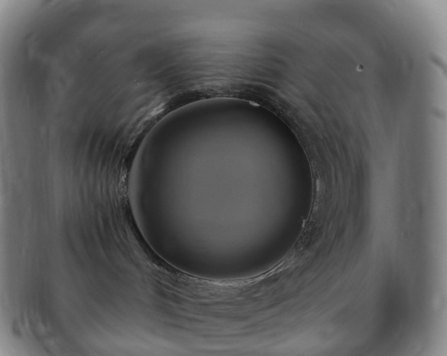 X0000091500048200708231453