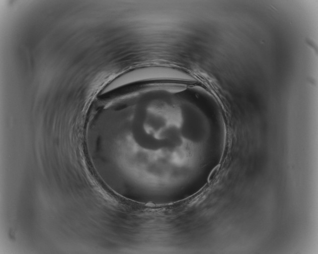 X0000091500049200708231453