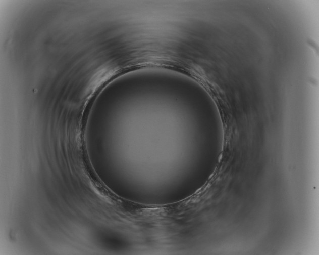 X0000091500050200708231453