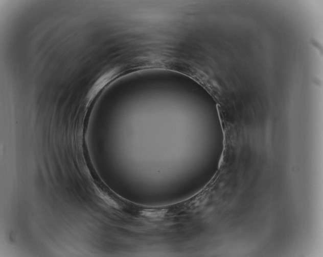 X0000091500051200708231453