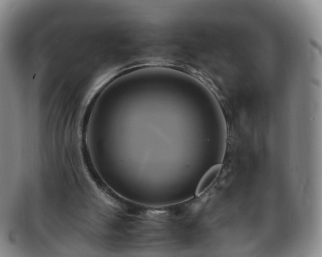 X0000091500055200708231453