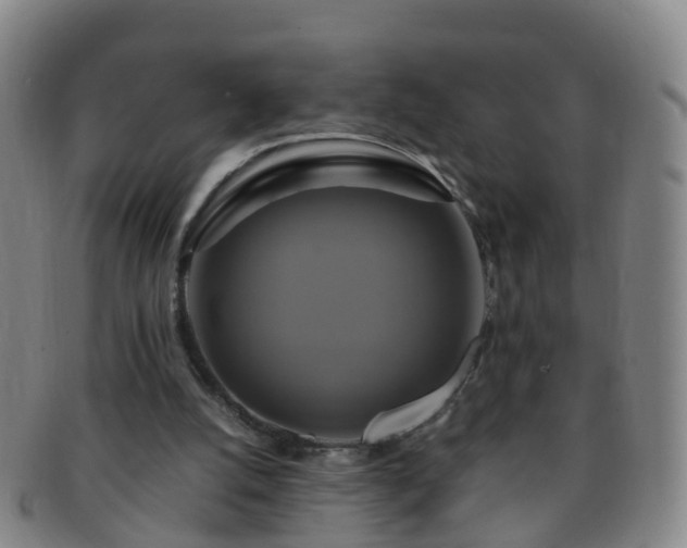 X0000091500056200708231453