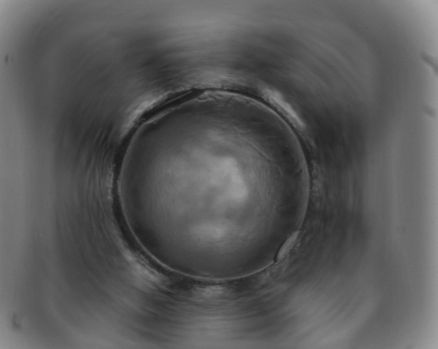 X0000091500058200708231453