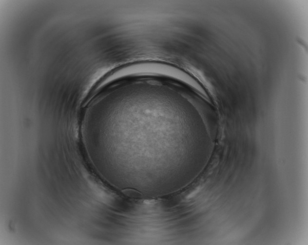 X0000091500060200708231453