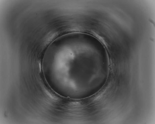 X0000091500061200708231453