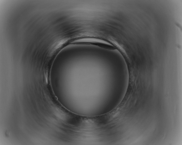 X0000091500062200708231453