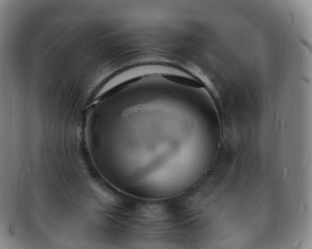 X0000091500063200708231453