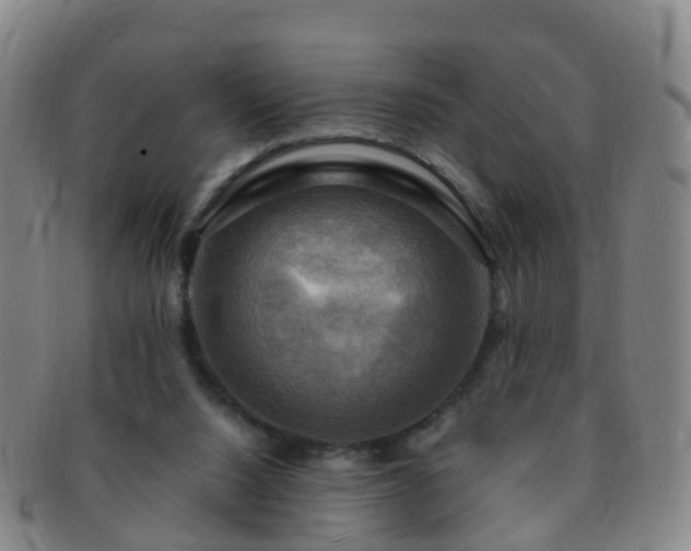 X0000091500064200708231453