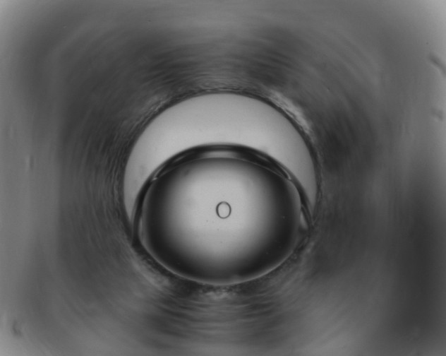 X0000091500065200708231453