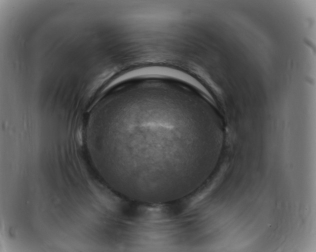 X0000091500068200708231453