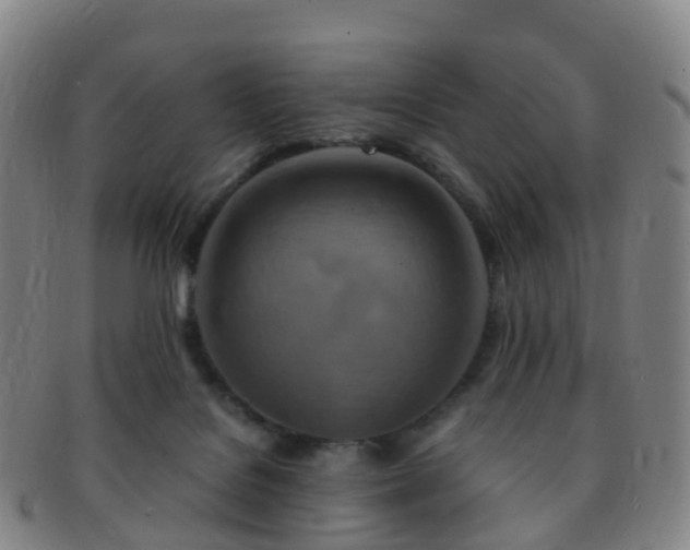 X0000091500076200708231453