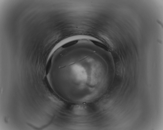 X0000091500077200708231453