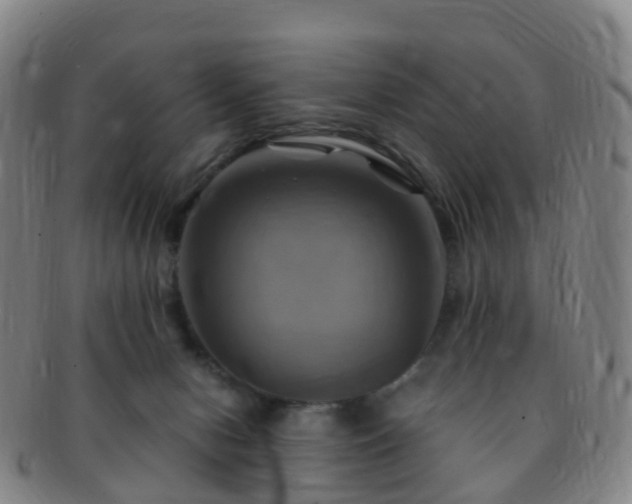 X0000091500078200708231453