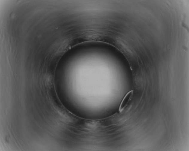 X0000091500079200708231453