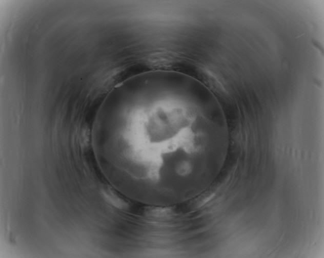 X0000091500081200708231453