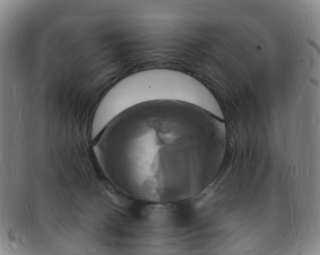 X0000091500082200708231453