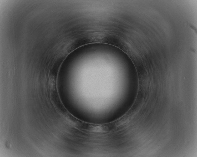 X0000091500083200708231453