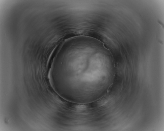 X0000091500085200708231453