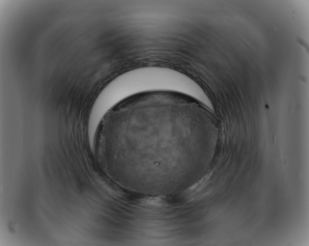 X0000091500086200708231453