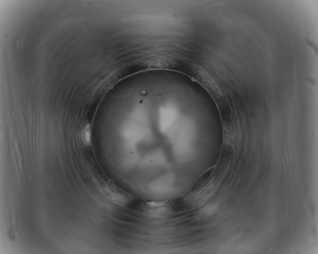 X0000091500095200708231453