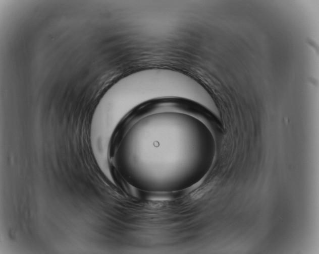 X0000091500096200708231453