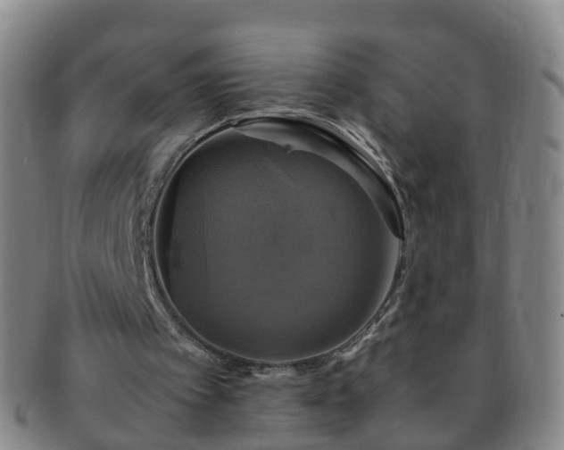 X0000091500097200708231453