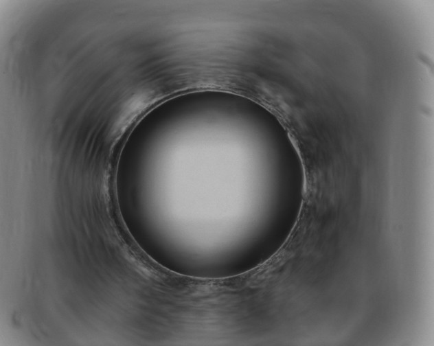 X0000091500098200708231453